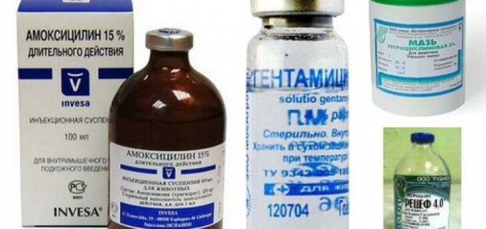 Антибиотики