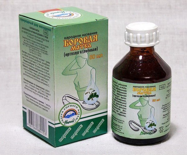 Боровая матка 50 мл. Боровая матка применение