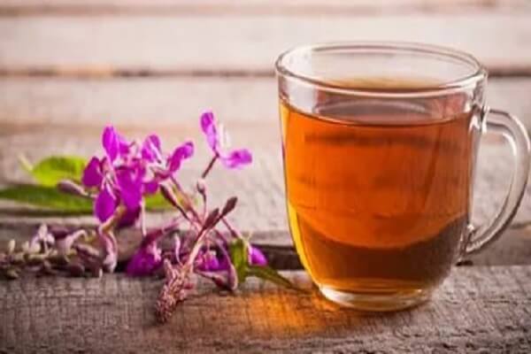 Заваренный Иван чай в чашке Иван чай в чашке