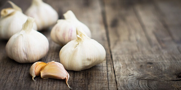 Луковицы чеснока Чеснок - фото