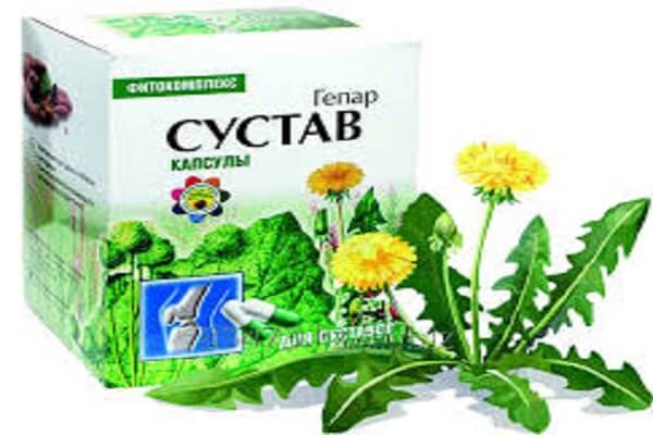 Гепар сустав в капсудах Бад Гепар сустав