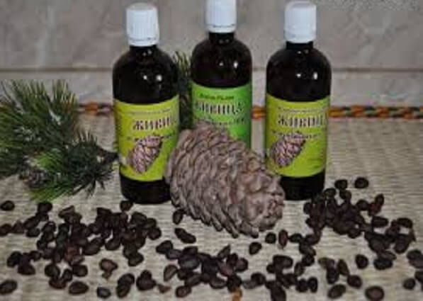 Живица кедра Живица