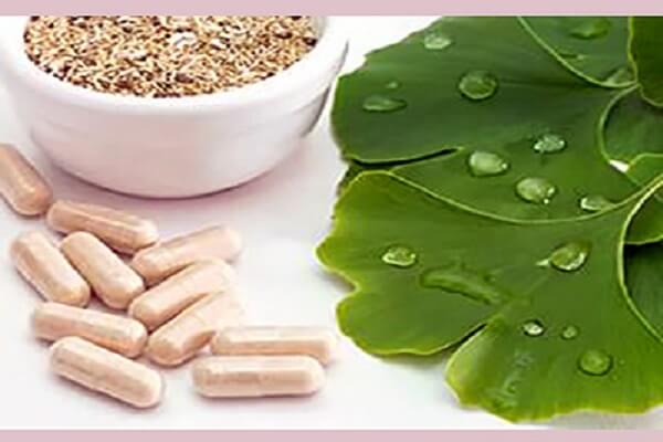 Гинкго Билоба Бады Применение Гинкго Билоба