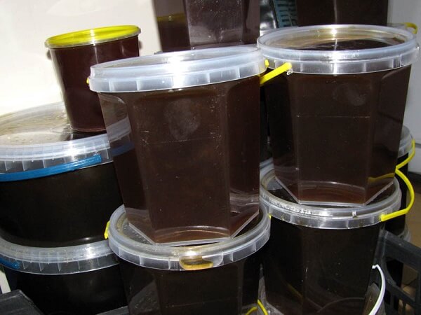 Темный гречишный мед в банках Настоящий гречишный мед - фото