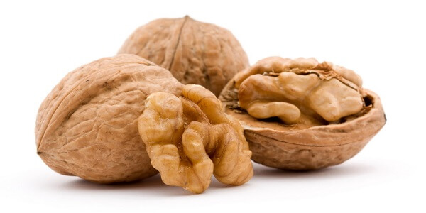 Грецкие орехи Грецкий орех - фото