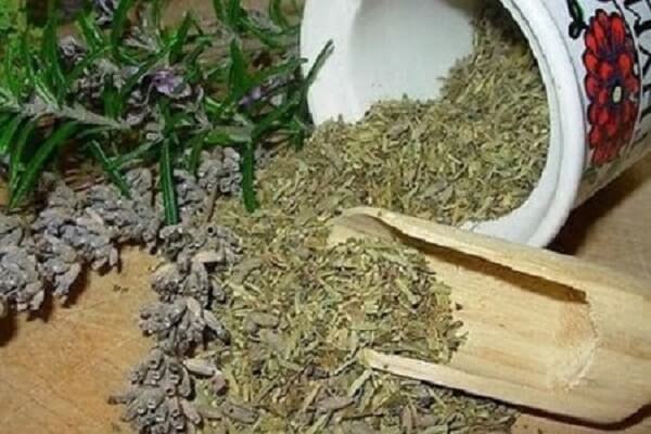 Сушеный исландский мох Исландский мох - фото