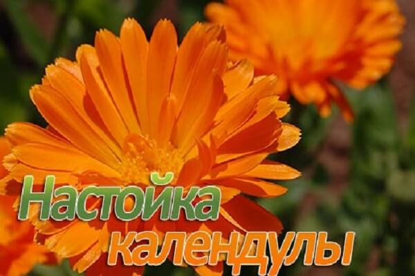 Настойка календулы Настойка спиртовая календулы