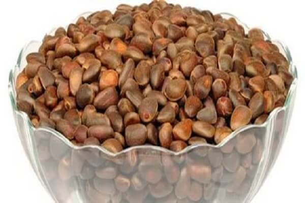 Кедровые орехи в чашке Чем полезны кедровые орехи