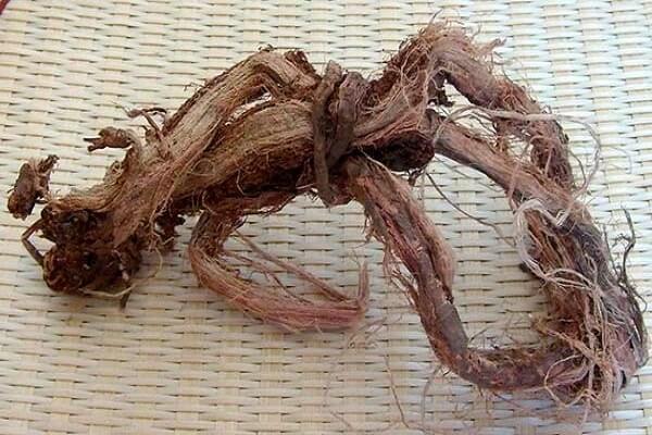 Высушенный и готовый к использованию красный корень Красный корень сухой
