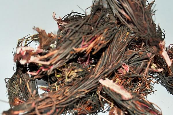 Сушеный корень Красной щетки Корень красной щетки - фото