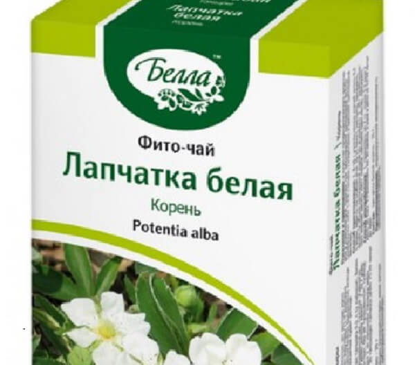 Фиточай на основе корня лапчатки белой Лапчатка белая фиточай