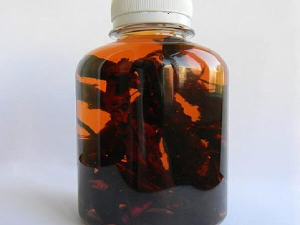 Настойка лапчатки белой в банке Настойка лапчатки белой - фото