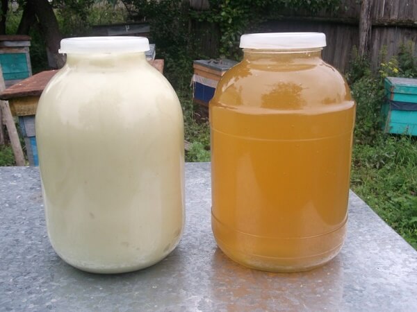 Цвет липового меда Липовый мед - фото