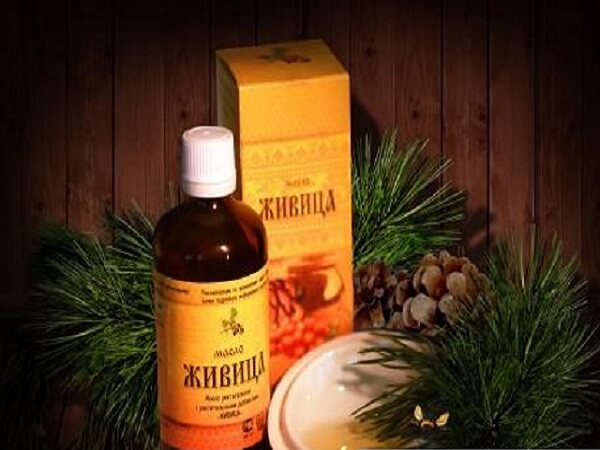 Масло живица Масло живица в пузырьке