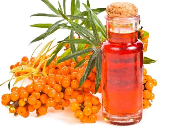 Ягоды облепихи и масло Применение облепихового масла