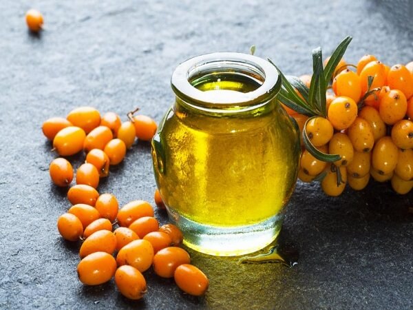 Масло из ягод облепихи Облепиховое масло и ягоды облепихи