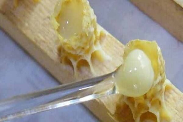 Как выглядит трутневое молочко Трутневое молочко - фото