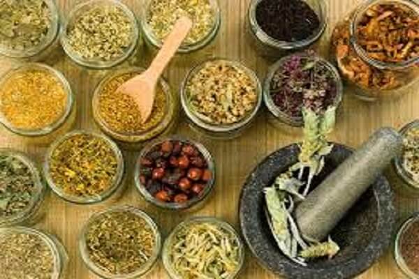 Сушеные лекарственные травы, ягоды Как приготовить отвар