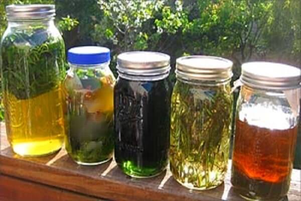 Спиртовые настойки в банках Спиртовые настойки - фото