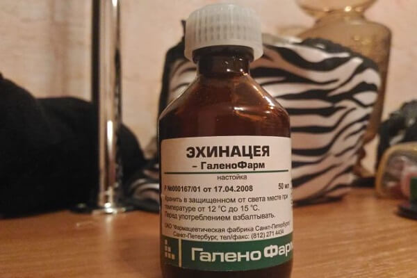 Настойка Эхинацеи, 50 мл. Настойка Эхинацеи аптечная