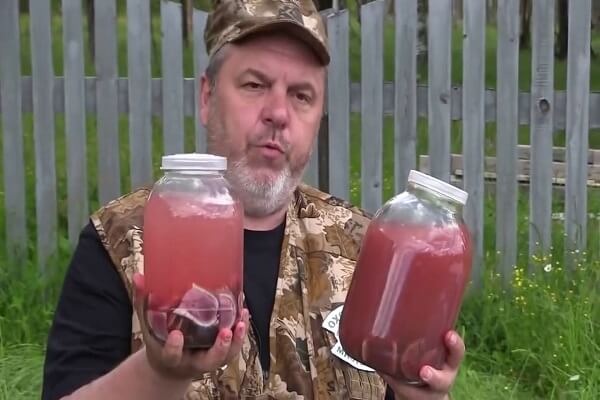 Спиртовая настойка пантов марала Настойка пантов алтайского марала