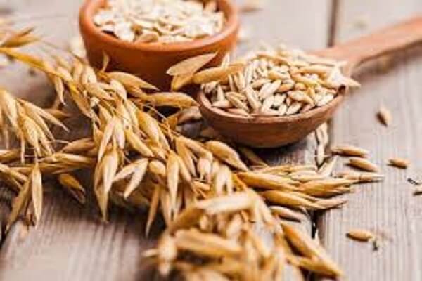 Овес Овес для чистки организма