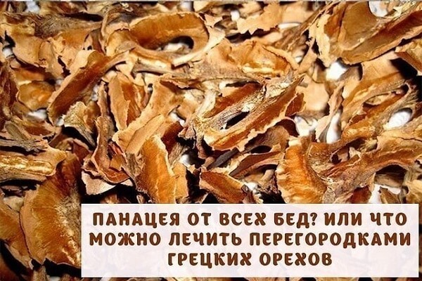 Перегородки грецких орехов Перегородки грецкого ореха