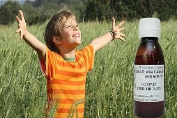 Можно ли настойку прополиса давать детям