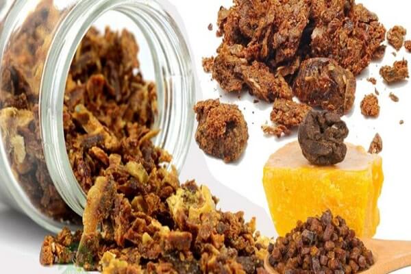 Пчелиный прополис Прополис - фото