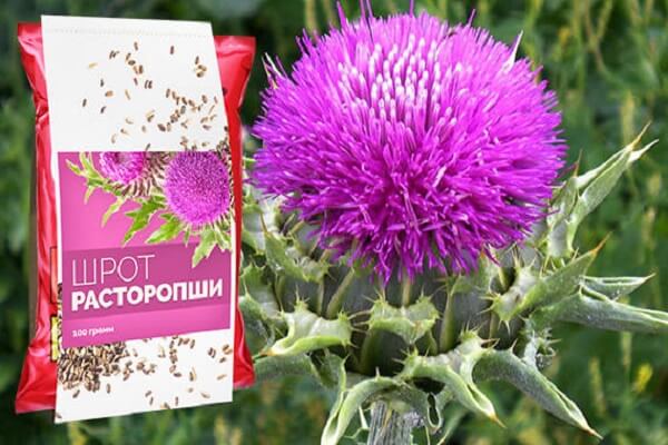 Шрот расторопши Шрот расторопши для печени