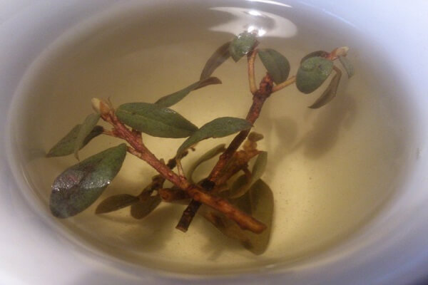 Чай Саган - дайля Чай из Саган - дайля