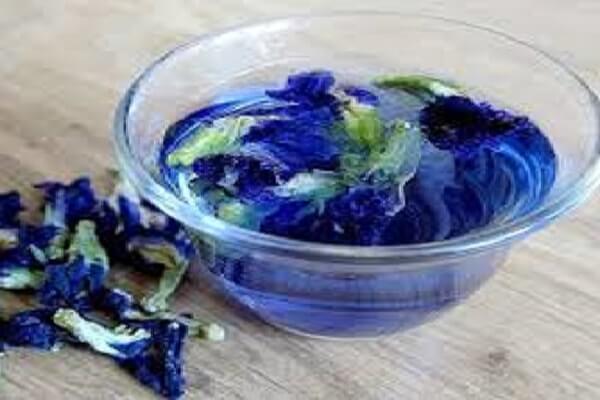 Синий чай в чашке Синий чай - фото