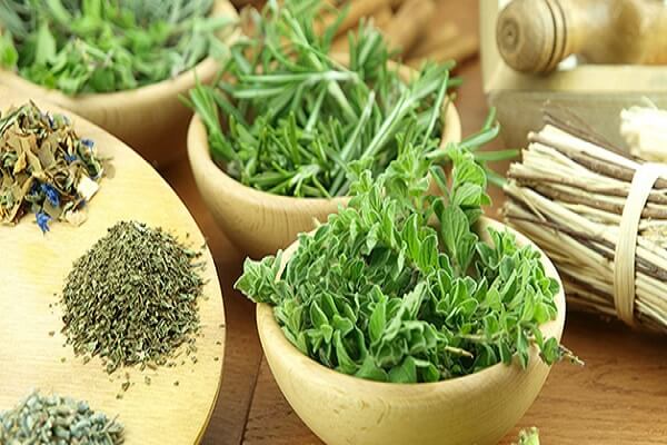 Слабительные лекарственные растения Как сделать домашнее слабительное