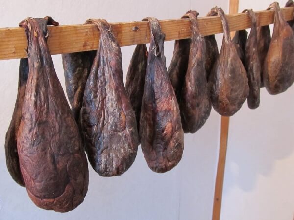 Как сушат бобровую струю Бобровая струя - сушка