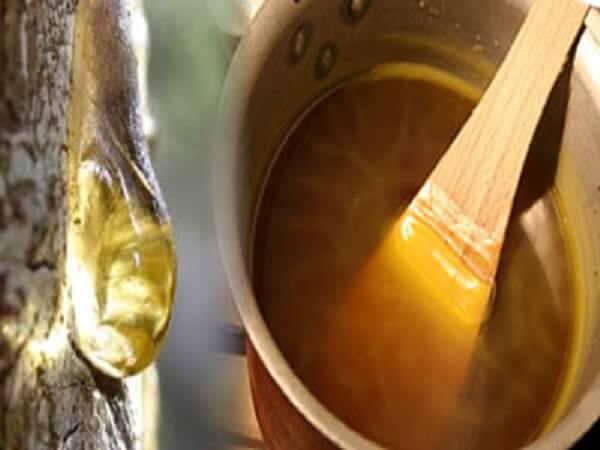 Как приготовить терпентиновый бальзам