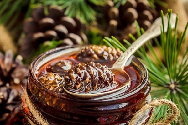 Готовое варенье из сосновых шишек Варение из сосновых шишек - фото