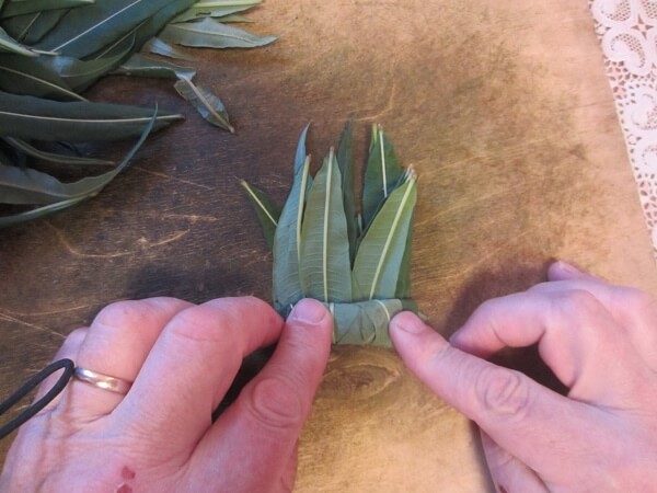 Скручивание Иван чая Скручивание Кипрея - фото