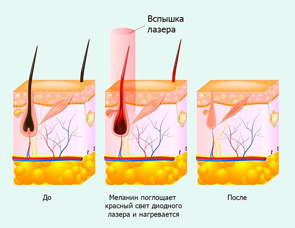 121217_12.jpg 121217_12.jpg