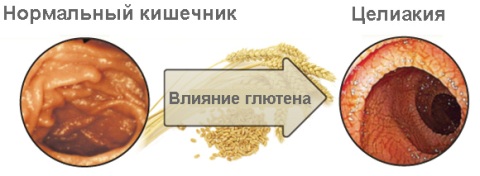 123.jpg 123.jpg