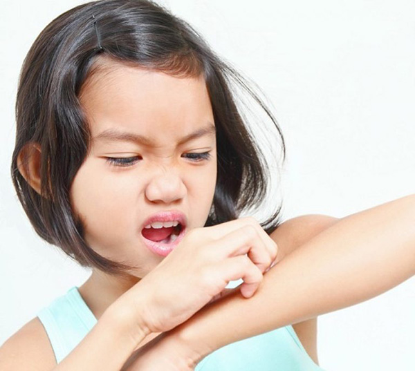 131117_80.jpg 131117_80.jpg