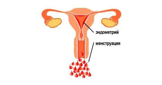 2.jpg 2.jpg
