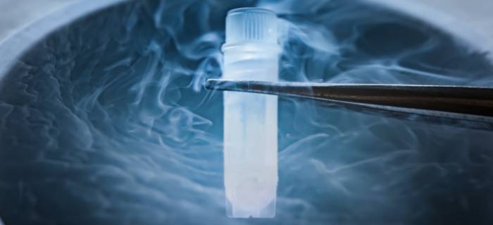 Этические проблемы криоконсервации яйцеклеток - Этические проблемы криоконсервации яйцеклеток