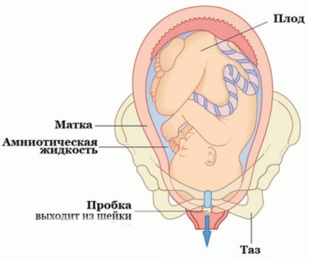 100234.jpg 100234.jpg