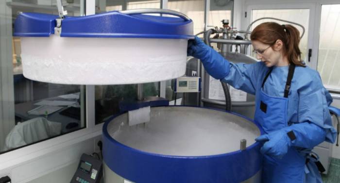 Как происходит криоконсервация яйцеклеток - Как происходит криоконсервация яйцеклеток