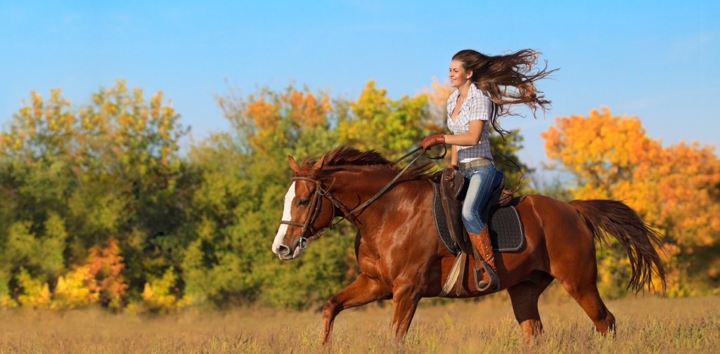 loshadka_ava.jpg loshadka_ava.jpg