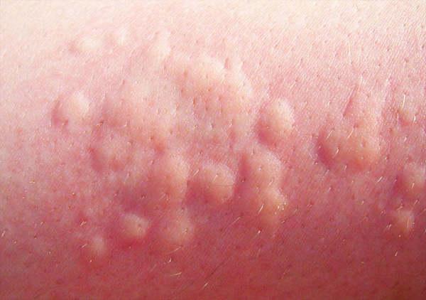 131117_77.jpg 131117_77.jpg