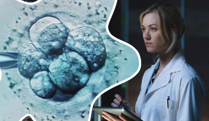 Безопасность и эффективность криоконсевации ооцитов - Безопасность и эффективность криоконсевации ооцитов