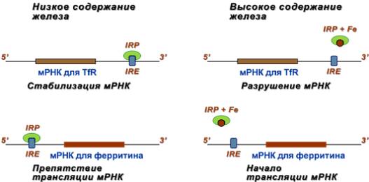 897489.png 897489.png