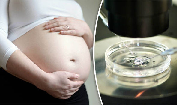 Pregnant-IVF-embryos-750515.jpg Pregnant-IVF-embryos-750515.jpg