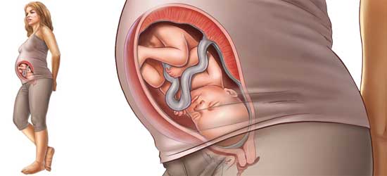 090118_12.jpg 090118_12.jpg